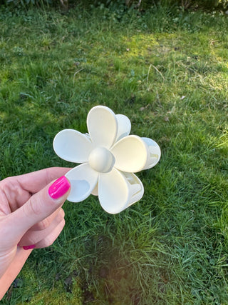 Pince Fleur blanche